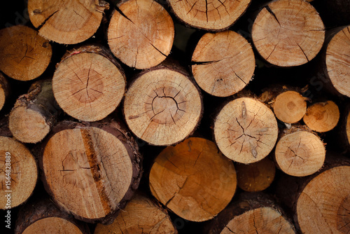 wooden beams, wooden logs, wood texture, wood grain, wood surface