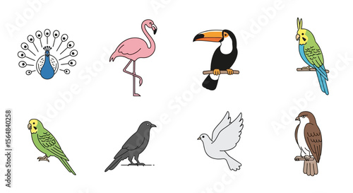 Vector cartoon fish species identification guide featuring catfish salmon piranha bass and koi fish drawing