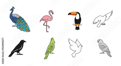 Vector explore australian wildlife animals kangaroo koala platypus emu wombat cockatoo dingo vector illustration