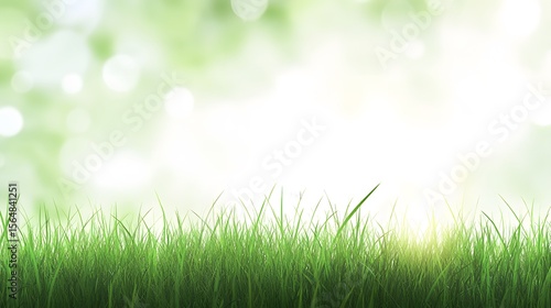 Green Grass Blades Meadow Spring Summer Nature Background