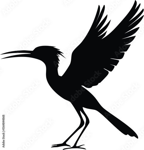 Elegant Bird Silhouette Vector EPS Birds in Flight, Paradise Bird Silhouette, Vector Illustration, Black Bird Silhouette