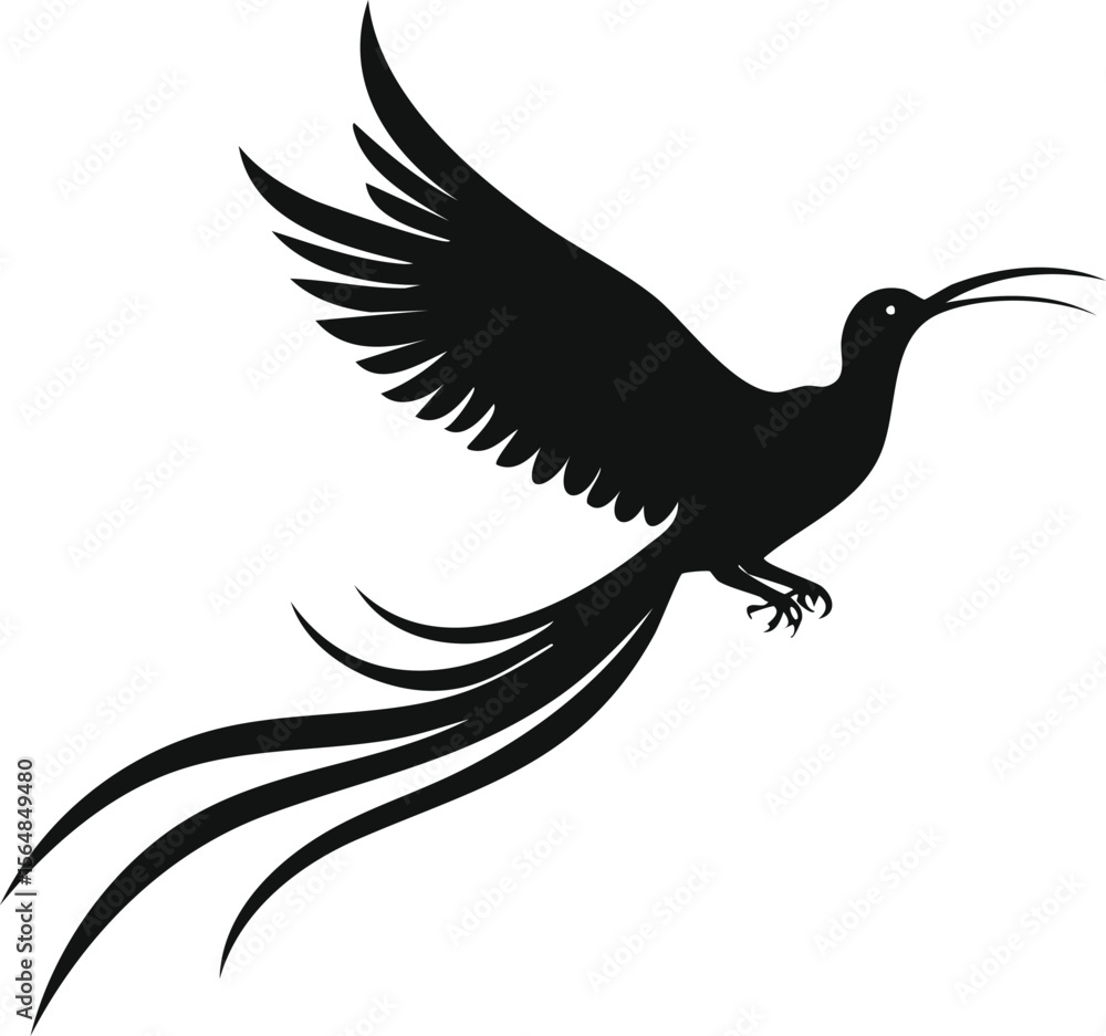 Fototapeta premium Majestic Birds Silhouette Vector EPS Illustration of a Resplendent Flying Bird with Long Tail, Perfect for Design Projects