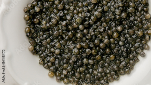 Oceans' black caviar pearls unfold depths of indulgence, luxury dining experience, Salone del Gusto celebration, aquatic culinary festivity