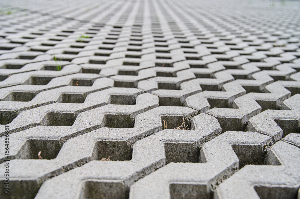 Fototapeta premium Close view of textured concrete paving with a hexagonal pattern, showing natural growth in the grooves.