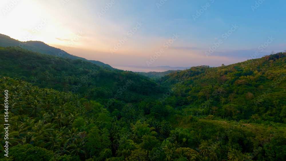Fototapeta premium Above the jungle at sunset. View from above the tree tops. Aerial view of endless hills covered with jungle during sunset. In the depths of the humid tropical forest.