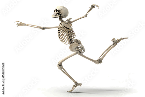 Anatomical skeleton in a dynamic pose with arms outstretched and leg raised on a white background