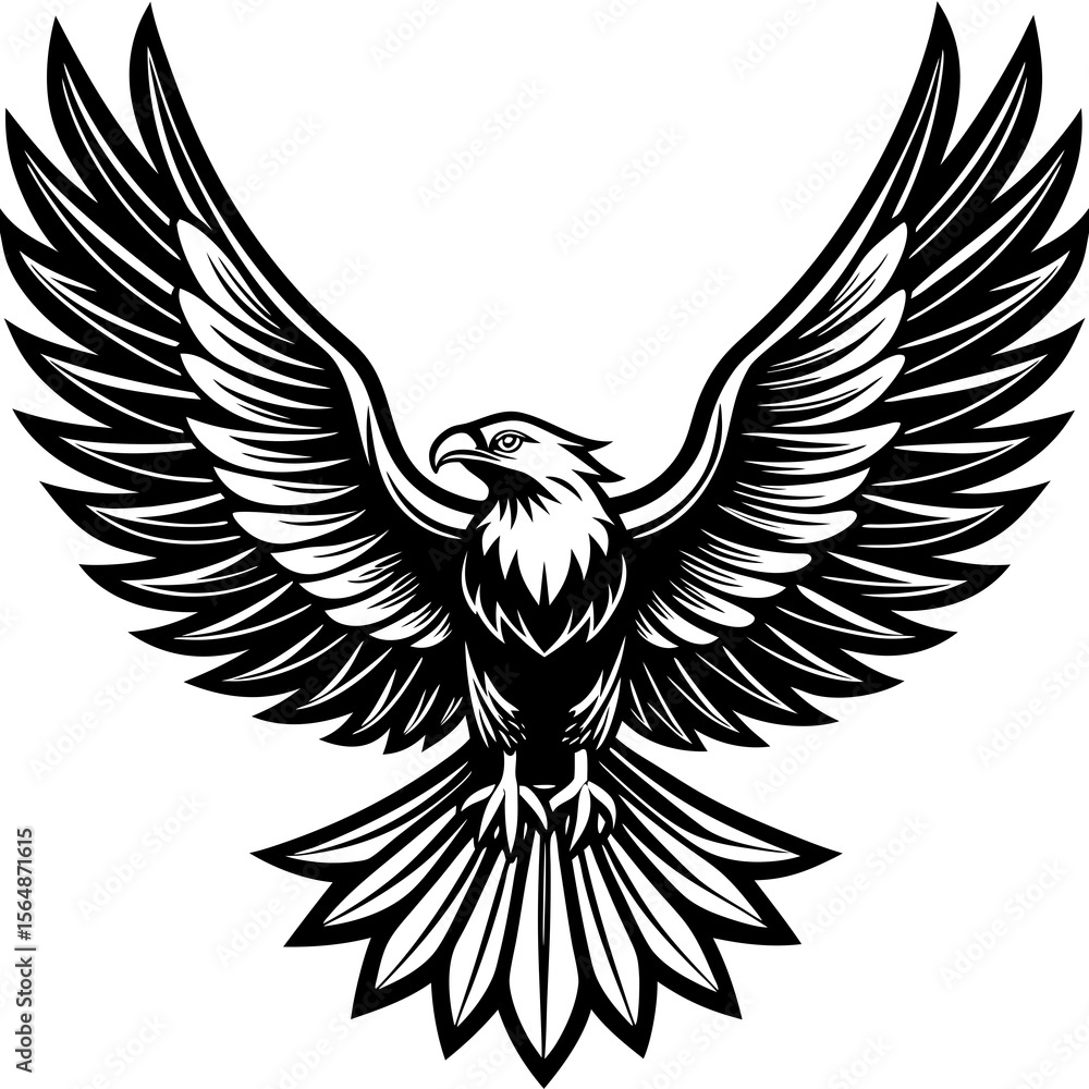 Fototapeta premium eagle with wings