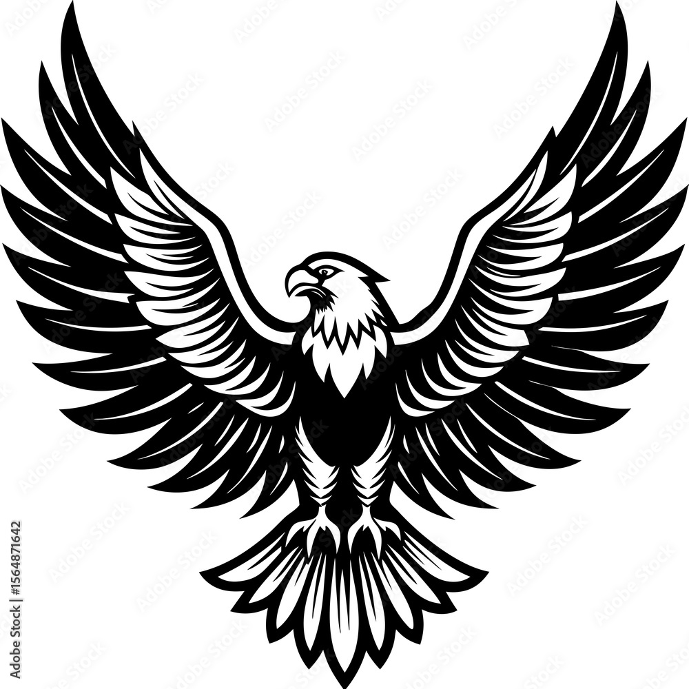 Fototapeta premium eagle with wings