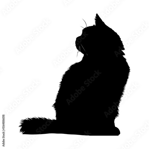 Exotic Shorthair Cat Black Silhouettes Clipart Black and White Background