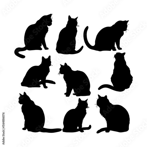Exotic Shorthair Cat Black Silhouettes Set Clipart Black and White Background