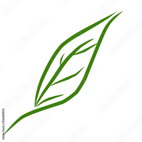 green leaf vector
