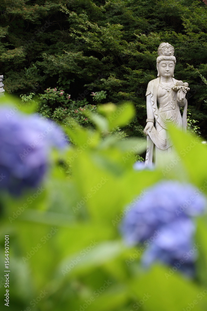 Obraz premium 紫陽花に囲まれた如来