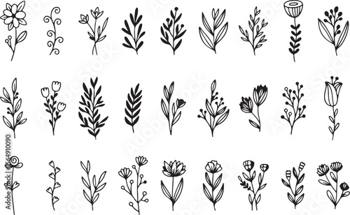 Floral Leaf Doodle Set, Botanical Hand Drawn Elements, Nature Sketch, Outline Plant Collection, Black and White Vector, Transparent Background