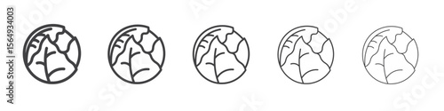 Brussels sprouts Cabbage icon Line graphics illustration symbol