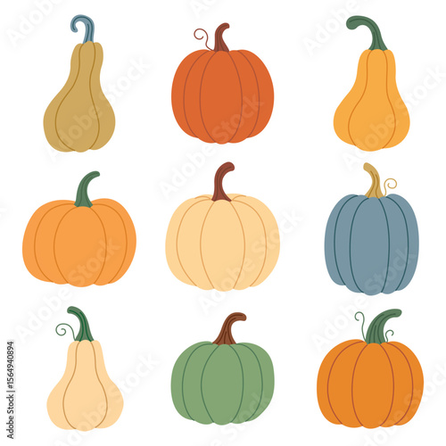 A set of pumpkins in different colours. Cute pumpkins drawn by hand. A cosy autumn set. Vector illustration
