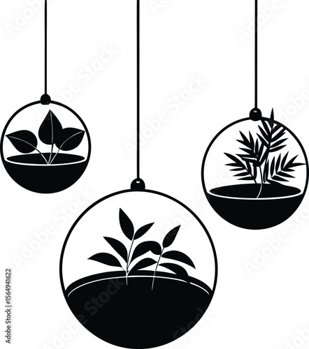 Elegant Hanging Glass Terrariums Modern Home Decor with Indoor Plants