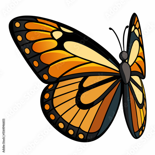 butterfly wing close up vector pattern focused