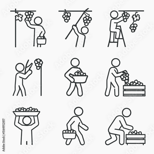 Grape Harvesting & Picking Process Icons