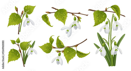 Spring flowers and birch branches illustration