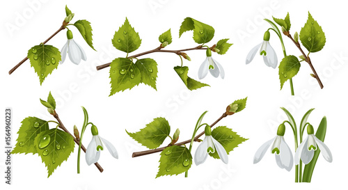 Spring floral design with snowdrops and birch branches