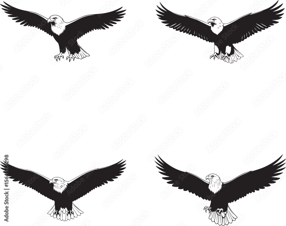 Obraz premium vector illustration of bald eagle