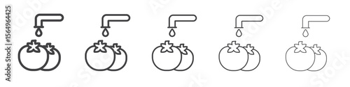 Fruits Washing icon Line graphics illustration symbol