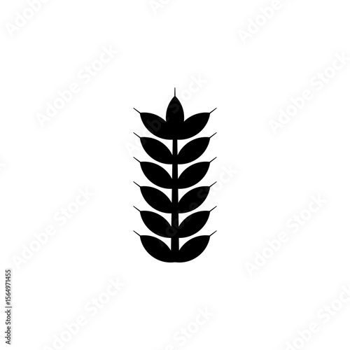 Grain Ear Seed, Spike Wheat, Rye Spica Solid Flat Vector Icon Isolated on White Background.