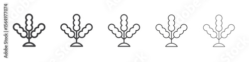 Seaweed icon Line graphics illustration symbol