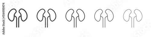 Urinary system icon Line graphics illustration symbol