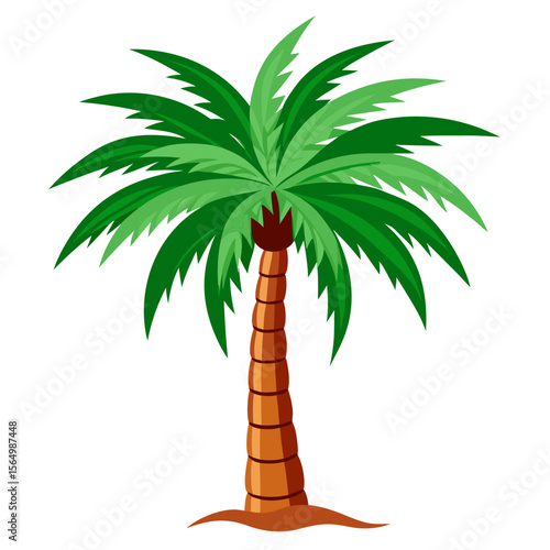 palm tree vector