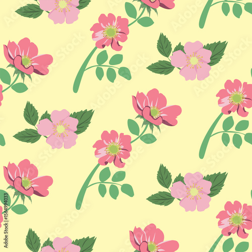 seamless floral pattern