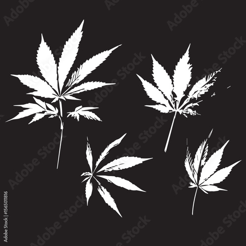 cannabis leaf vector
