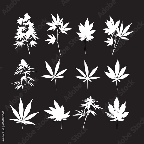 cannabis leaf vector