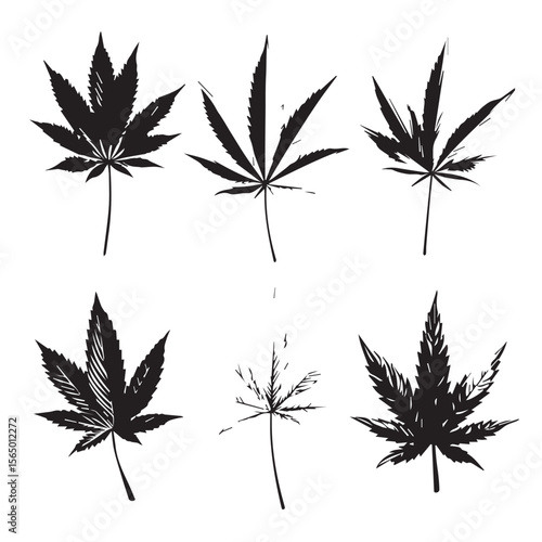 cannabis leaf vector