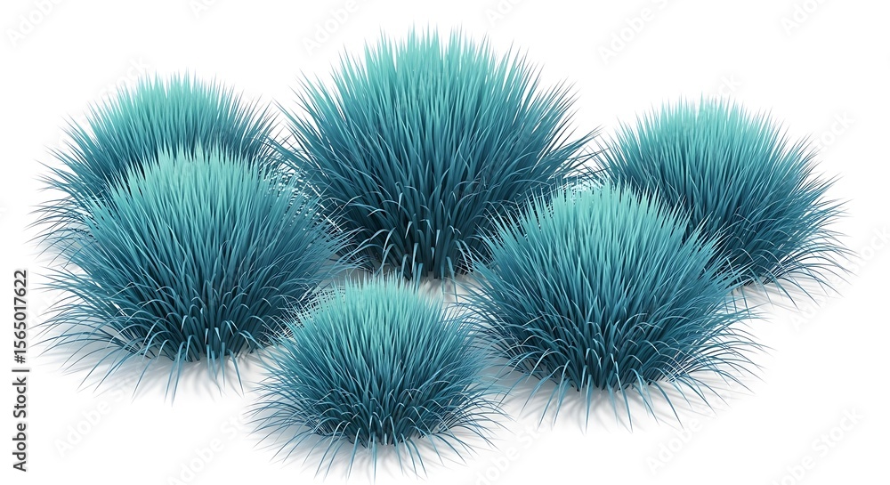 Blue grass clumps tufts foliage Blue grass clumps tufts foliage