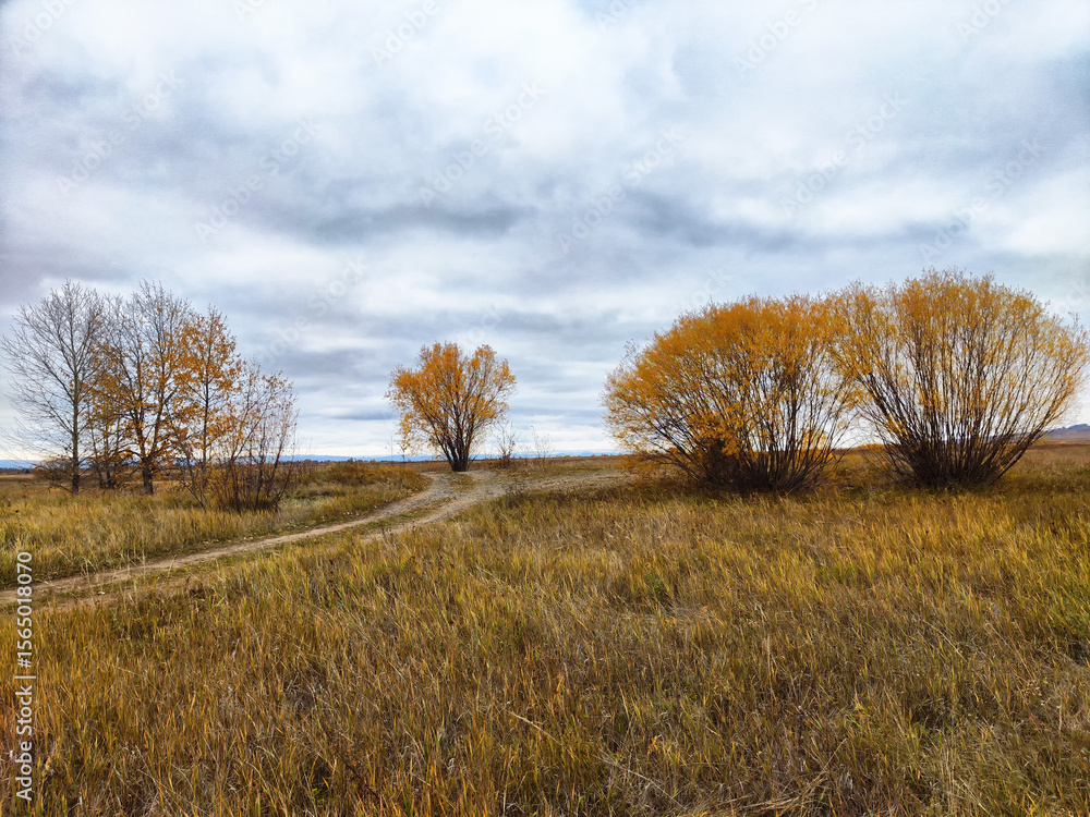 The autumn landscape showcases a picturesque scene, with a winding path meandering through tall, golden grasses and majestic trees The autumn landscape showcases a picturesque scene, with a winding path meandering through tall, golden grasses and majestic trees