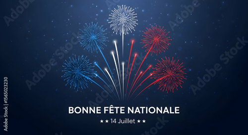 Bastille Day: Festive French Flag Fireworks Display on July 14th