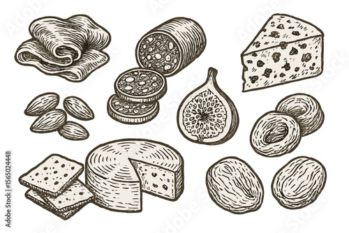 Hand drawn vector illustration of gourmet cheese and charcuterie platter with fruits and nuts for culinary design