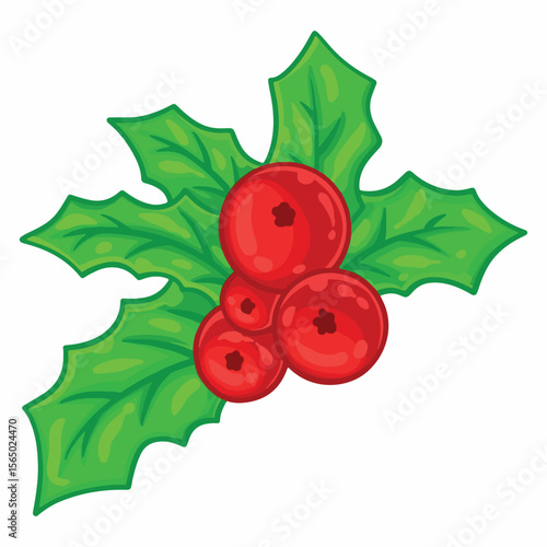 Christmas holly berry isolated on white background. Vector illustration.