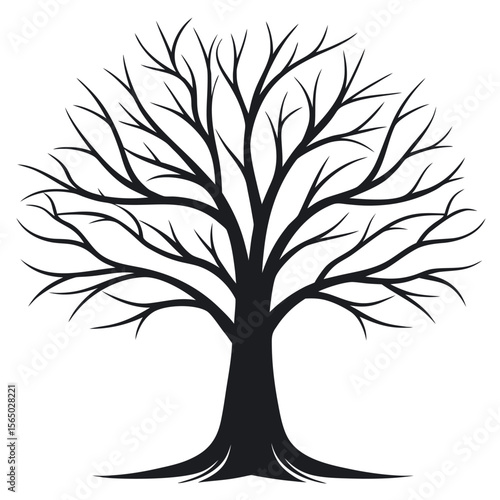 Bare tree silhouette with spreading branches black