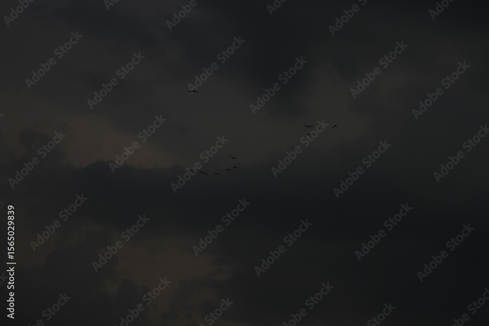 Fototapeta premium the cloud photo, low angle view