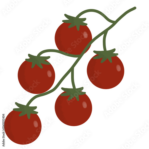 cherry tomatoes on the vine isolated