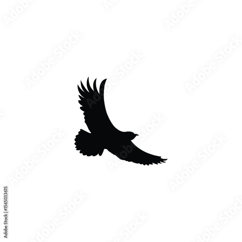 Eagle in flight top view, eagle silhouette vector. Flying bird icon isolated on white background.