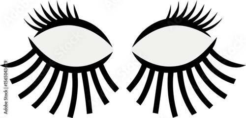 Magnetic Lashes