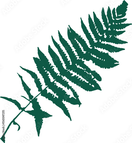 Natural leaves near streams are found in southern Thailand.