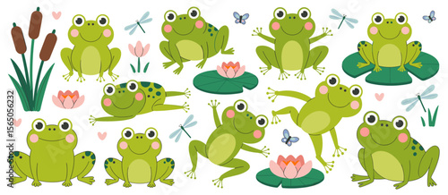 Cartoon frogs collection, cute green frog vector illustrations and pond flora set