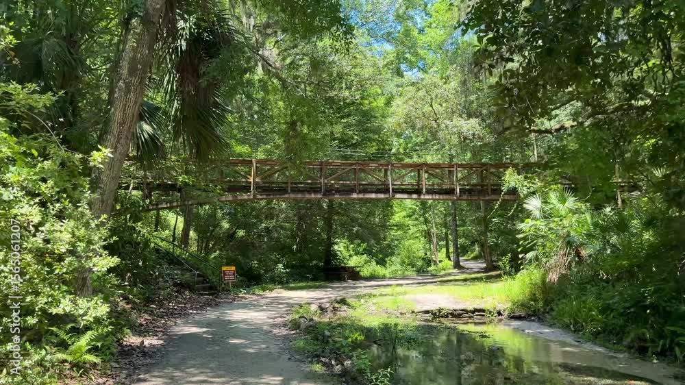 Suspension bridge over walking trail at Ravine Gardens State Park, a ...