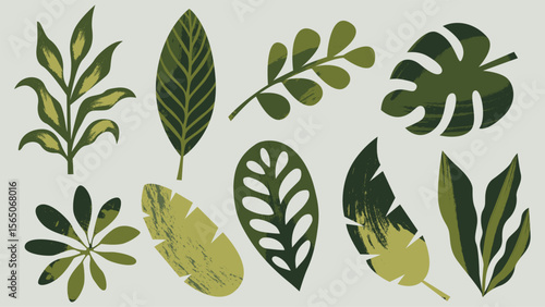 Collection of abstract jungle leaves in vector style with textured green coloring. Concept of seasonal promotional visuals for mobile apps and web interfaces