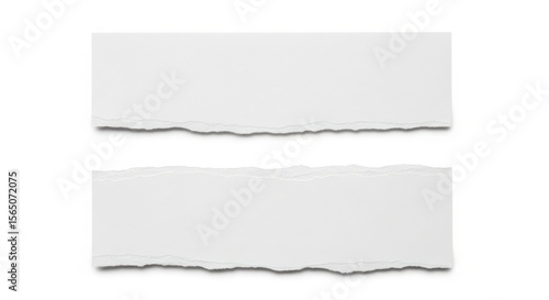 Wallpaper Mural Two ripped pieces of blank paper displayed on a clean, simple background Torontodigital.ca