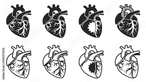 Stylized illustrations of human hearts, highlighting different anatomical features and designs in black and white.